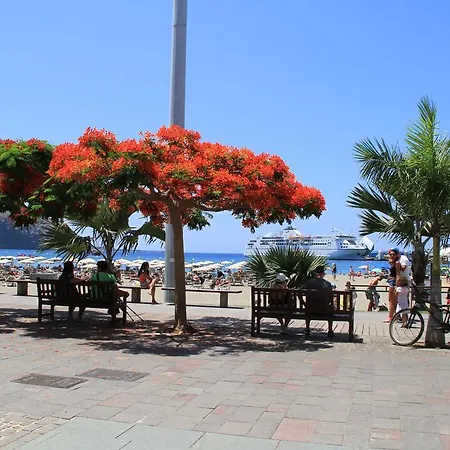 Casa Peter Los Cristianos Centro A 20 Metros Del Mar *