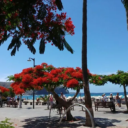Casa Peter Los Cristianos Centro A 20 Metros Del Mar Dom wakacyjny Los Cristianos (Tenerife)